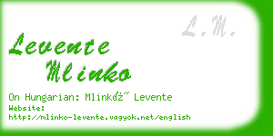 levente mlinko business card